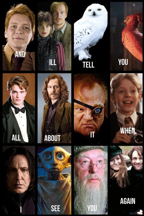 Disney And Harry Potter, Harry Potter Voldemort, Harry Potter Friends, Always Harry Potter, Funny Harry Potter Jokes, Harry Potter Scene, Harry Potter Feels, Harry Potter Puns, Images Harry Potter