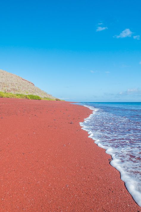 Giant Manta, Landscapes Beautiful, Galapagos Island, Red Sand Beach, Sensory Ideas, Manta Rays, Multi Sensory, Red Sand, Galapagos Islands