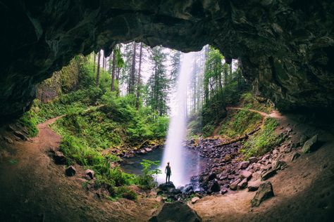 15 Reasons Why My Heart Will Always Be In Oregon Waterfalls In Oregon, Oregon Camping, Horsetail Falls, Oregon Trip, Silver Falls State Park, Oregon Hikes, Beautiful Oregon, Columbia Gorge, Oregon Waterfalls