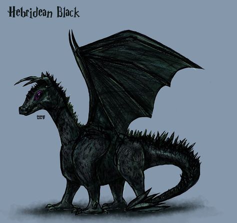 Dragon Hebridean Black - Fantastic Beasts And Where To Find Them FBAWTFT Hebridean Black Dragon, Magical Animals, Magical Beings, Fantastic Beasts And Where, Baby Dragon, Black Dragon, Magical Creatures, Fantastic Beasts, Wizarding World