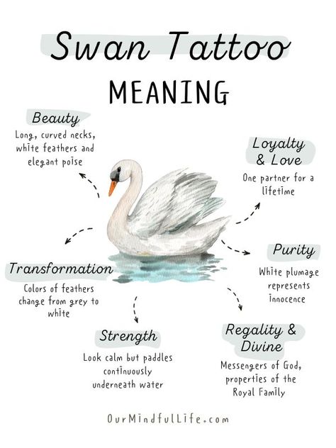 Swan tattoos meaning Tattoos That Mean Love, Beauty Meaning Tattoos, Things With Meaning, Love Core Tattoo, Beautiful Tattoos With Meaning, Swan Wings Tattoo, Meanings Of Tattoos, Animals With Meaning, Swan Tattoos For Women