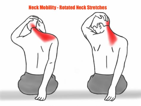 Prehab Exercises, Neck Mobility, Neck Pain Exercises, Neck And Shoulder Exercises, Functional Movement, Bolesti Chrbta, Therapy Techniques, Neck Exercises, Posture Exercises