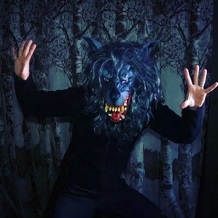 31 day horror movie countdown! Day 17 - Creep 2014 I love wolves. #creep Mark Duplass, Horror Movies On Netflix, Film Distribution, Best Halloween Movies, Shot Film, Horror Fanatic, Zombie Movies, Best Horror Movies, Best Horrors