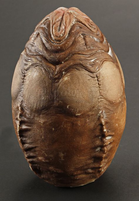 Xenomorph Egg, Alien Egg, Rare Comic Books, Giger Alien, Giger Art, Alien Queen, Aliens Movie, Horror Monsters, Alien Vs Predator