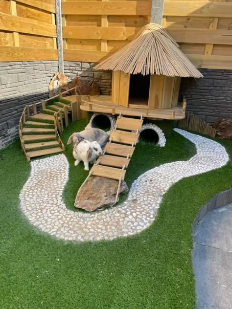 Animal Cages Outdoor, Rabbit Enclosure Ideas Outdoor, Rabbit Outdoor House Ideas, Bunny Enclosure Outdoor, Outside Bunny Enclosure, Outdoor Rabbit Enclosure Diy, Bunny Cages Outdoor, Rabbit Enclosure Outdoor, Bunny House Outdoor