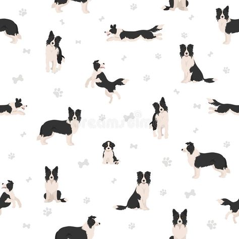 Border Collie Clipart. Different Poses, Coat Colors Set Stock Vector - Illustration of breed, doggie: 218776531 Black And White Border Collie, Black And White Border, Border Collie Art, White Border Collie, Different Poses, Wallpaper Border, Art Google, Border Collie, Color Set