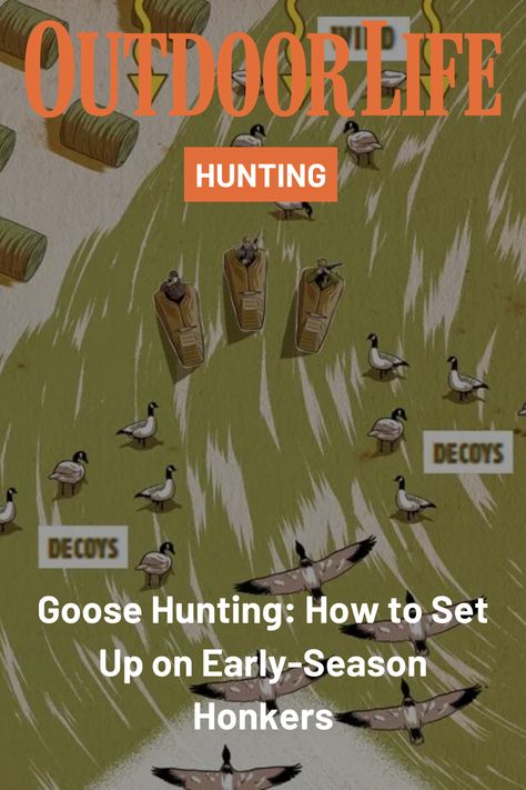 Waterfowl season is fast approaching and it's time to start scouting and strategizing. But, you don't need a hundred decoys to make early-season Canada geese commit. Local family flocks of parent and juvenile honkers call for contained, natural-looking spreads that invite small groups of birds right in. Find summer success with these three sets that won't break the bank, or your back. Wild Caught Fish Recipes, Hog Hunting With Dogs, Snow Goose Hunting, Grouse Hunting, Upland Bird Hunting Gear, Goose Hunting, Canada Geese, Animal Attack, Upland Bird Hunting