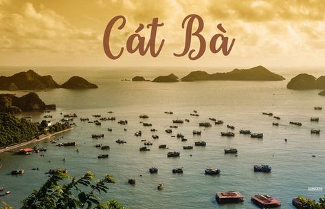 Vietnam Hotels, Cat Ba Island, Hanoi Old Quarter, Sapa Vietnam, Ha Long Bay, Pretty Beach, Halong Bay, Ancient Temples, Service Animal