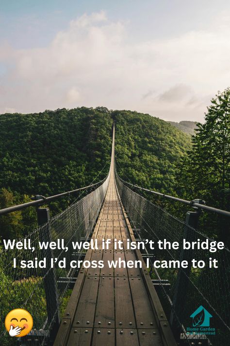 If it isn't the bridge I said I'd cross when I came to it Quotes About Bridges, Bridge Quotes, Gardening Memes, Bliss Quotes, Quotes Scriptures, Photos Quotes, Well Well, Inspirational Photos, Mind Body Soul