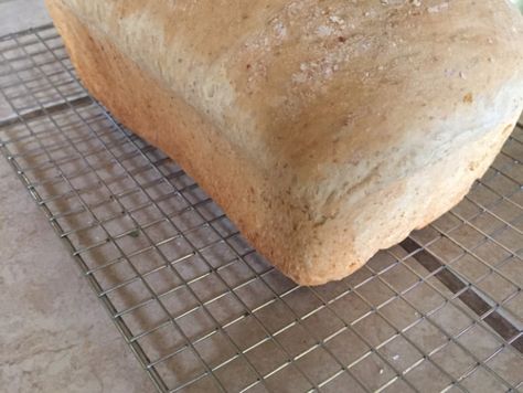 Make and share this One Loaf White Bread recipe from Food.com. Rustic Loaf, Kitchen Maid, Dairy Free Baking, Kitchen Aid Recipes, Homemade White Bread, Bread Rolls Recipe, White Bread Recipe, Country Bread, Ciabatta Bread