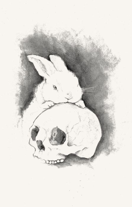 Creepy Bunny Art, Evil Bunny Tattoo, Skull Tattoos For Men, Bunny Skull, Bunny Tattoos, Arte Grunge, Rabbit Tattoos, Bunny Drawing, Rabbit Art