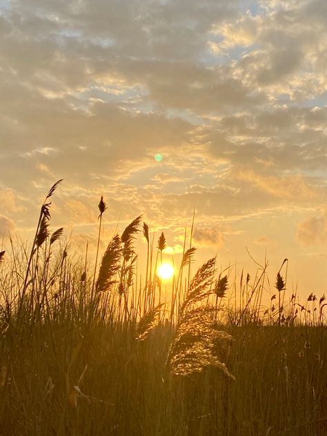 Golden Beach Aesthetic, Here Comes The Sun Aesthetic, Sun Core Aesthetic, Sunshine Person Aesthetic, Bright Sunny Day Aesthetic, Soleil Core, Sunshine Core, Golden Hour Aesthetic Vintage, Warm Summer Aesthetic