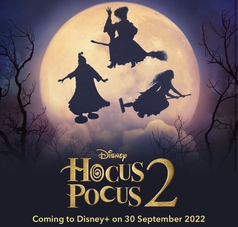 Hocus Pocus Movie Poster, Hocus Pocus Cookies, Hocus Pocus Crafts, Fall Decor Aesthetic, Disney Bujo, Fall Girls Night, Hermanas Sanderson, Hocus Pocus 1993, Hocus Pocus Movie