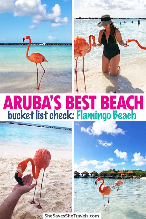 Heading to vacation in Aruba? Tap to see the ultimate guide to the of bucket-list worthy Flamingo Island! A perfect day trip or stay in the resort on the island. | Aruba Vacation | Aruba Aesthetics | Aruba Itinerary | Aruba Honeymoon | Things to Do in Aruba | Aruba Travel | Spring Break Destinations | ABC Islands | Best Things to Do in Aruba | Aruba Bucket List | Aruba Things to Do | What to Do in Aruba | Aruba Photography Flamingo Island Aruba, Aruba Flamingo Beach, Aruba Aesthetics, Aruba Cruise Port, Aruba Itinerary, Aruba Beaches, Flamingo Beach Aruba, Aruba Cruise, Aruba Photography