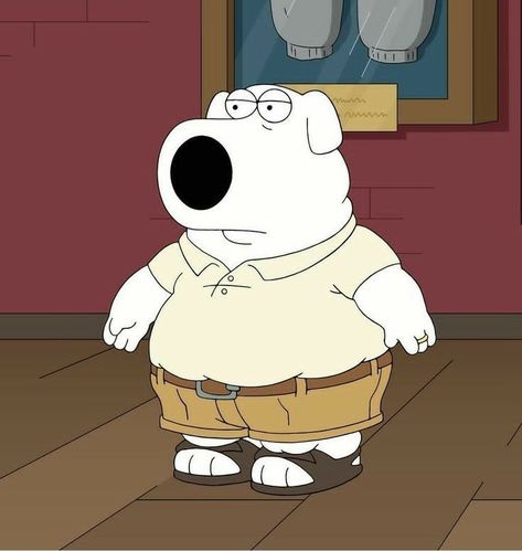 Fat Brian Funny Family Guy, Brian Family Guy, Family Guy Meme, I Griffin, Family Icon, Family Guy Stewie, Family Guy Funny, Family Guy Funny Moments, Stewie Griffin