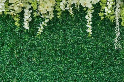 Backdrops not only serve the purpose of uplifting your overall arrangement but also give your setup a trendy and modish makeover. Accentuate your backdrop with a green wall mat that spreads freshness all over your space. Add a pop of Mother Nature by decorating your grass wall with alluring white silk orchids for a splendid display. Dangle some silk and faux florals and garlands to complete the refreshing look of your décor. Backdrops Wedding, Tulle Backdrop, Grass Backdrops, Photo Booth Background, Bridal Shower Backdrop, Wall Photography, Bridal Shower Photos, Wedding Wall, Baby Shower Photos