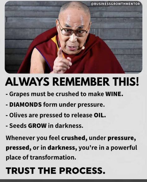 Buddism Quotes, Out Of Comfort Zone, 14th Dalai Lama, Dalai Lama Quotes, Jack Ma, Entrepreneurship Quotes, Business Content, Warren Buffett, Yoga Quotes