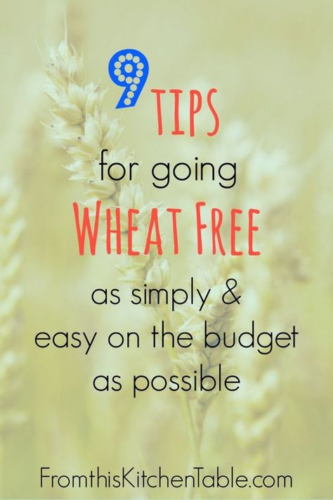 Wheat Belly Diet, Wheat Belly Recipes, Wheat Free Diet, Wheat Belly, Going Gluten Free, Wheat Free Recipes, Gluten Free Living, Grain Free Recipes, Foods With Gluten