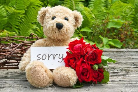 Being sorry is the part and parcel of human growth. There are many episodes in our lives where we inadvertently hurt people and wish them to get back. Considering that, delivering a giant teddy bear with a personal remorseful note tag is one of the best ways to gain back your love one. Buy now Giant Teddy Bear Cheap on https://boobearfactory.com/collections/giant-teddy-bear Sorry Teddy Bear, Missing You Love Quotes, Teddy Images, Happy Teddy Day Images, Teddy Day Images, Get Well Soon Flowers, Miss You Images, I Miss You Wallpaper, Status Wallpaper