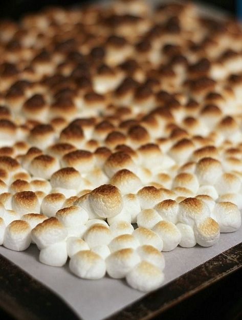 Toasted marshmallows and browned butter make the tastiest rice krispie treats yet! Once you try these Toasted Marshmallow Krispie Treats, you'll never want to go back to the traditional recipe! #marshmallow #krispietreat #ricekrispietreat #ricekrispietreatrecipe #ricekrispietreatvariation #howtomake#ricekrispietreats #bestricekrispietreats Marshmellow Treats, Rice Krispie Treats Variations, Rice Krispie Treats Cereal, Marshmallow Treats Recipe, Homemade Rice Krispies, The Best Rice, Cookies And Cups, Best Rice, Krispie Treats Recipe