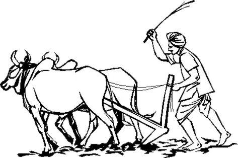 Essay on Indian Farmer for Students and Children | 500+ Words Essay https://www.aplustopper.com/an-indian-farmer-essay/  #IndianFarmerEssay #EssayonIndianFarmer Farmer Tattoo, Farmer Painting, Farmers Day, Human Sketch, India Painting, Human Figure Sketches, Psy Art, Art Village, Figure Sketching