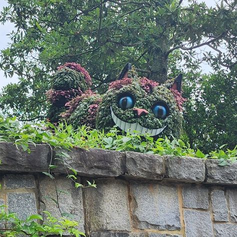 Alice in Wonderland display at the Atlanta botanical gardens 😍 #alice #aliceinwonderland #atlanta #georgia #family #memorialday #fun #roadtrip #beautiful #realestatelifestyle #Broker Alice In Wonderland Botanical Garden, Alice And Wonderland Garden, Overgrown City, Wonderland Park, Atlanta Botanical Gardens, Jervis Tetch, Alice In Wonderland Garden, Wonderland Garden, Brooklyn Botanical Garden