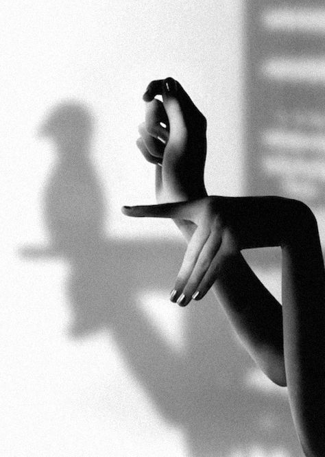 shadow parrot ... Hand Shadows, Hand Photography, Shadow Photography, Black And White Photograph, Shadow Art, Shadow Play, Shadow Puppets, Foto Art, Hand Holding