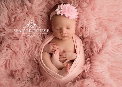 Newborn Studio Photography, Newborn Baby Portraits, Foto Newborn, Newborn Family Photos, Newborn Photography Poses, Newborn Studio, Newborn Baby Photoshoot, Newborn Baby Photos, Newborn Poses