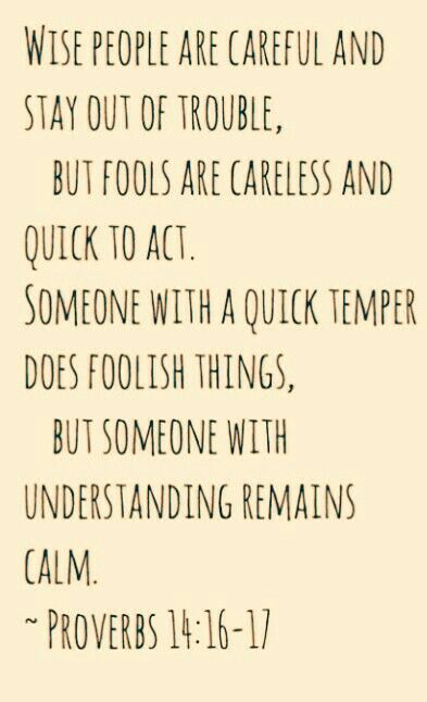 Wise people are careful and stay out of trouble, but fools are careless and quick to act. Someone with a quick temper does foolish things, but someone with understanding remains calm. Proverbs 14:16-17 <3 Quick Temper Quotes, Speaking Badly Of Others Quotes, Stay Out Of Trouble Quotes, There Are Consequences To Your Actions, Don’t Let The Behavior Of Others, Don’t Talk Bad About Others, Temper Quotes, Foolish Quotes, Bitter People Quotes