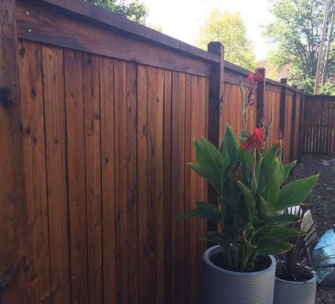 Stained Fence, Exterior Fence, Staining Wood Fence, Fence Colors, Deck Stain And Sealer, Wood Deck Stain, Backyard Redesign, Deck Stain, Redesign Ideas