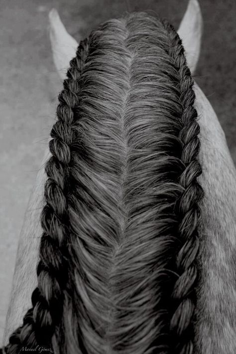 I don't think I'm patient enough to do this plus my horse would have it down in two minutes. Horse Mane Braids, Horse Braiding, Tail Braids, Horse Mane, Horse Tail, Horse Grooming, All About Horses, Mane N Tail, Horse Quotes