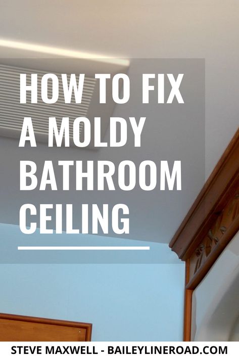 Bathroom Ceiling Mold, Mold On Bathroom Ceiling, Bathroom Ceiling Paint, Kill Mold, Bathroom Repair, Drywall Ceiling, Mold In Bathroom, Painted Bathroom, Cleaning Mold