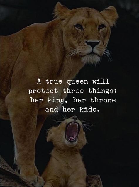 True Life Quotes, Lioness Quotes, Mamma Bear, Black Love Quotes, Leo Quotes, Her King, Lion Quotes, Lion Love, Inspirational And Motivational Quotes