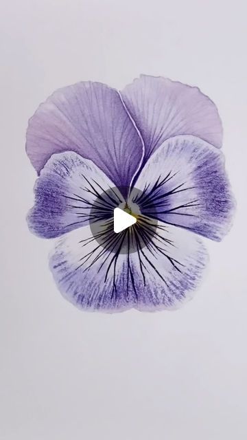 Emma Tildesley DipSBA(Dist) SBA Fellow on Instagram: "For Aprils Patreon watercolour tutorial we are painting a pretty purple pansy. This tutorial is available now, the link is in my bio, or comment Pansy and I will send you the link. 🌸  Painted on @st.cuthberts.mill  Saunders Waterford Hot Pressed 140lbs with @princetonbrush Neptune brushes   #floralart #botanicalpainting #botanicalartlovers #flowers #illustration #botanicalart #botanical #botanicalillustration #watercolour #watercolor #waterc Painting Violets Flowers, Flowers Watercolour Painting, Pansy Drawings, Watercolor Pansies Tutorial, Pansy Leaves, Watercolour Pansies, Botanical Illustration Tutorial, Pansy Illustration, Pansies Watercolor