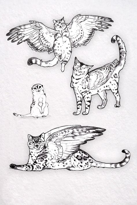 Bengal Cats Winged Coa Sketch Book page by Reptangle Winged Cat Drawing, Bengal Cat Tattoo, Animal Jam Drawings, Cat Wings, Wings Illustration, Little Sketches, Winged Cat, Tattoo Aesthetic, Cartoon Style Drawing