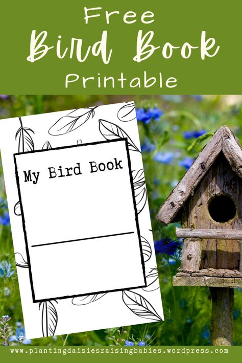 Planting Daisies, Bird Life Cycle, Bird Printables, Bird Study, Birds For Kids, Spring Activity, Unit Studies Homeschool, 1st Grade Science, Bird Book