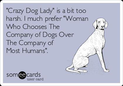 "Crazy Dog Lady" is a bit too harsh. I much prefer "Woman Who Chooses The Company of Dogs Over The Company of Most Humans". Crazy Dog Lady Quotes, Disappointment Quotes, Humanity Quotes, Bluetick Coonhound, Funny Confessions, Dog Lady, Crazy Dog Lady, Animal Room, Funny Dog Pictures