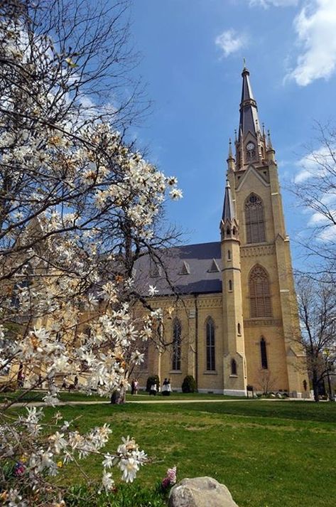 Notre Dame Campus, Touchdown Jesus, Saint Marys College, Notre Dame Basilica, Golden Dome, Dreamy Places, The Grotto, Under The Dome, Gothic Buildings