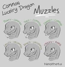 Dragon Muzzle, Art Reference Drawing, Adopt Inspiration, Sofia Art, Mouth Anatomy, Anatomy Tips, Dragon Species, Oc Things, Dragon Anatomy