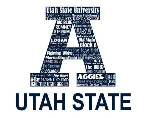 Sage Brush, Aggie Pride, Freshman Dorm, Utah State University, Utah State, University Life, Diy Wood Signs, Graduation Diy, Art Quilt