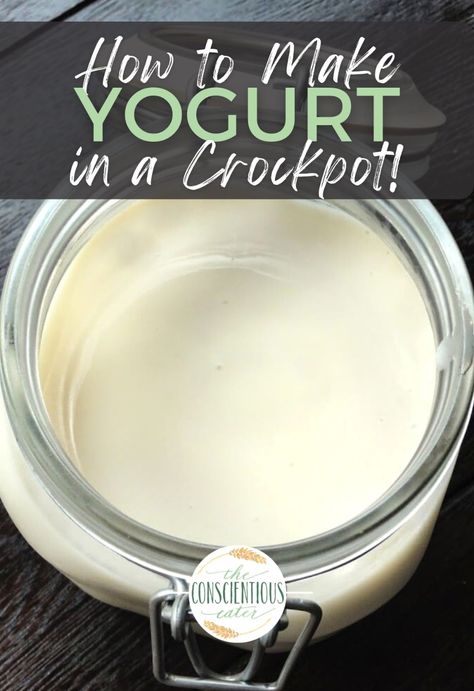 Almond Milk Yogurt Recipe, Homemade Almond Milk Yogurt, Crockpot Yogurt, Dairy Free Yogurt Recipe, Beginner Vegan, Homemade Yogurt Recipes, Almond Milk Yogurt, Plant Based Recipes Breakfast, Making Yogurt