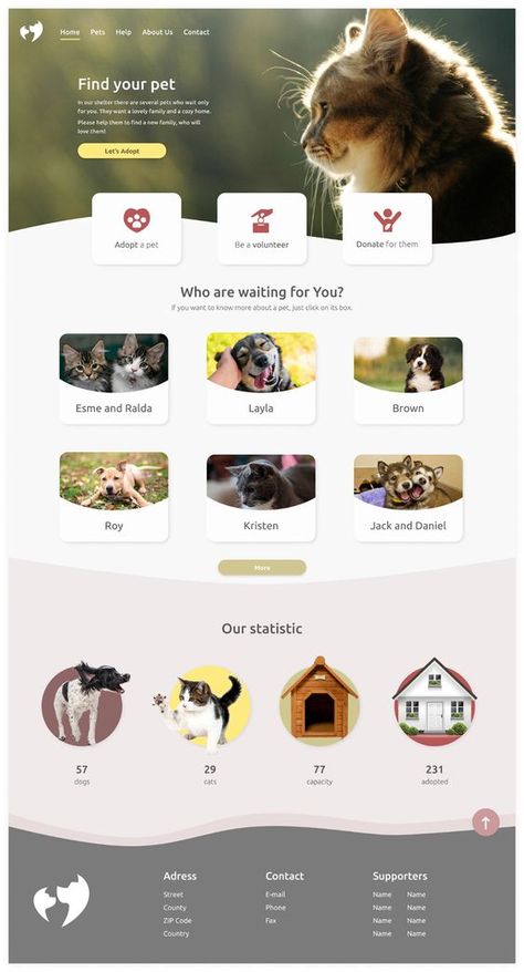 Website Instagram Feed Design, Pet Adoption Website Design, Volunteer Website Design, Website Ideas Projects, Pet Website Design, Pet Websites, Pet Advertising, 블로그 디자인, Cat Website