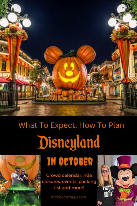 Ready for magical autumn at Disneyland? Don't miss our comprehensive 2023 guide to Disneyland in October! Discover the best rides, exclusive Fall events, top Halloween decor spots and must-try themed treats. Let the pumpkins guide your adventure and experience the spellbound enchantment of Disneyland like never before. 🎃🍂✨ Fall At Disneyland, What To Wear To Disneyland In October, Disneyland In October, Disneyland October, Halloween Time At Disneyland, Disney Magical, Halloween Themed Food, Disney 2023, Disneyland Planning