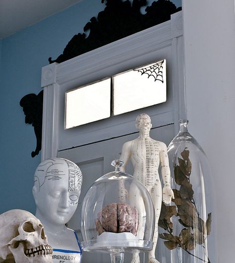 ***anatomy halloween decor Anatomy Decor, Stylish Halloween Decor, Spooky Science, Fun Halloween Food, Adult Halloween Party, Spooky Halloween Decorations, Scary Halloween Decorations, Home Interiors, Halloween Party Decor