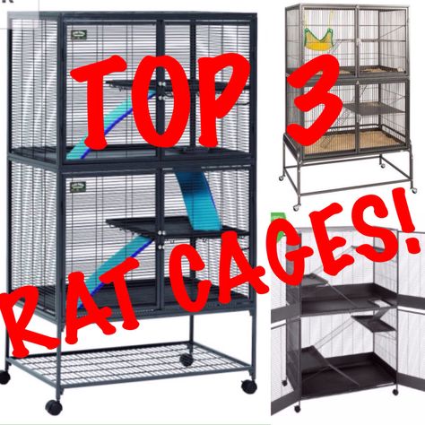 Rat Cages Ideas, Rat Cage Setup Ideas, Pet Rat Cages Diy, Pet Rats Cages Diy, Rat Cage Ideas, Proper Rat Cage, Diy Rat Cage Accessories, Fancy Rat Cage, Dollar Store Rat Cage Accessories