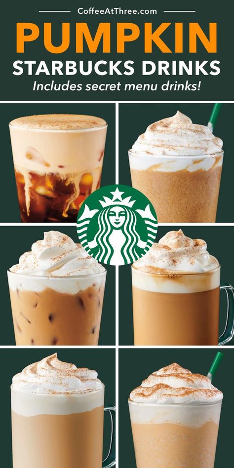 The complete guide to all of the Starbucks pumpkin drinks, including secret menu items! #starbucks #starbuckssecretmenu #psl #pumpkinspice #starbucksdrinks Pumpkin Chai Frappe, Starbucks Pumpkin Spice Latte Recipe, Iced Pumpkin Spice Latte Starbucks, Pumpkin Drinks Starbucks, Pumpkin Latte Starbucks, Starbucks Pumpkin Drinks, Hot Pumpkin Spice Latte, Pumpkin Drink Recipes, Pumpkin Spice Frappuccino