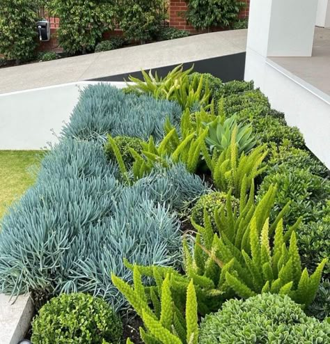 Our design team offers a drought-friendly plan for our clients when creating their redesign. We want to create our client's ideal yard for the present and future. Coastal Front Yard Landscaping, Roof Idea, Backyard Planting, Gabion Walls, Front Yard Plants, Small Front Gardens, Succulent Landscape Design, Instagram Landscape, Front Landscaping