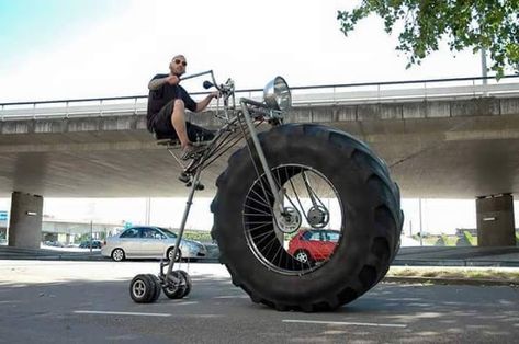 Bike Wagon, Lowrider Bicycle, Lowrider Bike, Custom Chopper, Chopper Bike, Motorcycle Types, Funny Animal Photos, All-terrain Vehicles, Pedal Cars