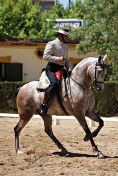 Azteca Horse, Lippizaner, Working Equitation, Horse Information, Happy Horse, Equestrian Events, Horse Inspiration, Andalusian Horse, Western Riding