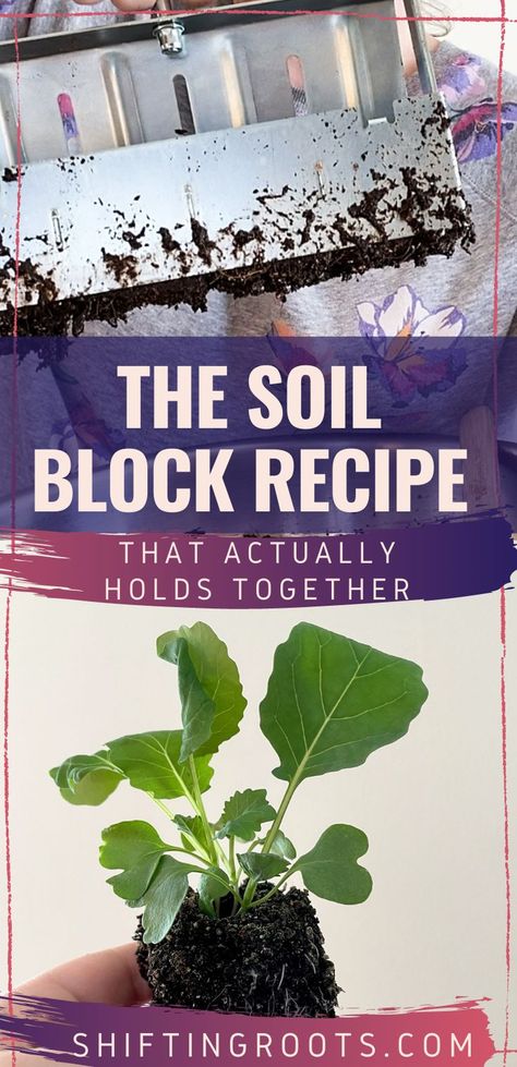 Curious about soil blocking but feeling overwhelmed by all of the recipes out there? These are my tips and tricks for all gardeners to soil block with ease! Conditioner Bar Recipe, Soil Blocking, Soil Blocks, Seed Starting Soil, Growing Seedlings, Cut Flower Farm, Seed Starting Mix, Garden Flower Beds, Points Recipes